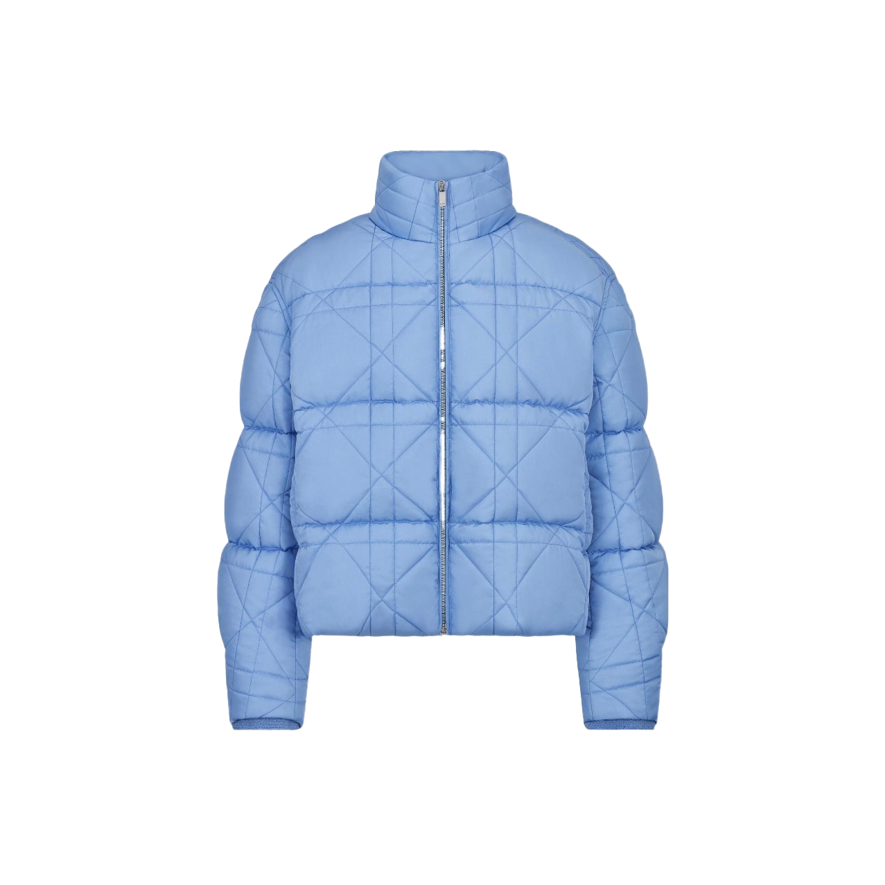 DIOR BLUE DOWN JACKET