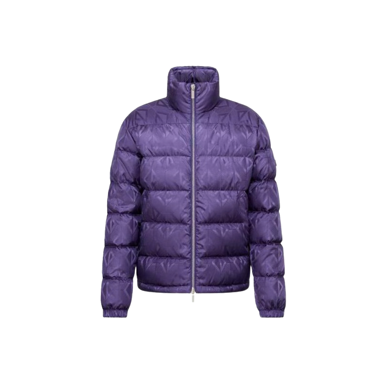 DIOR OBLIQUE DOWN JACKET